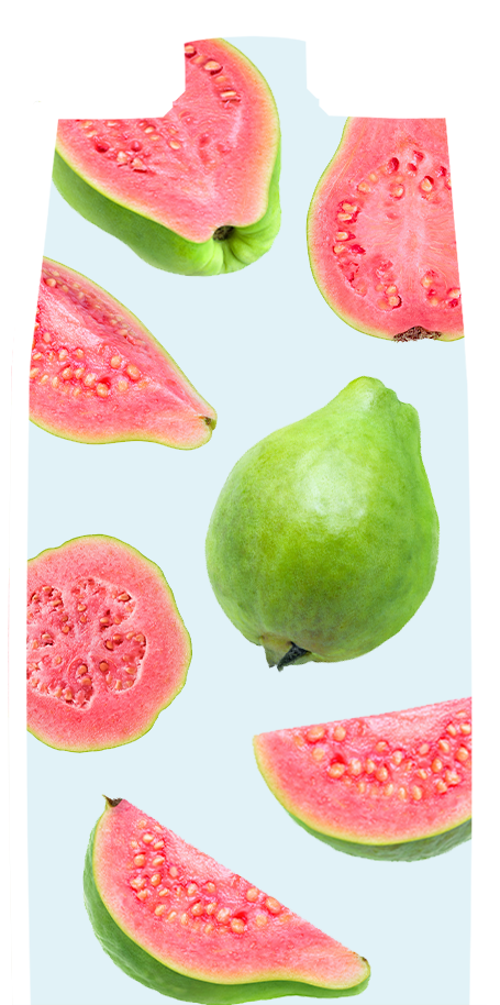 EXOTICO-guayaba